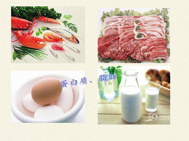 北师大版生物七年级下册 第8章 第1节 人类的食物(5)(课件)第4页
