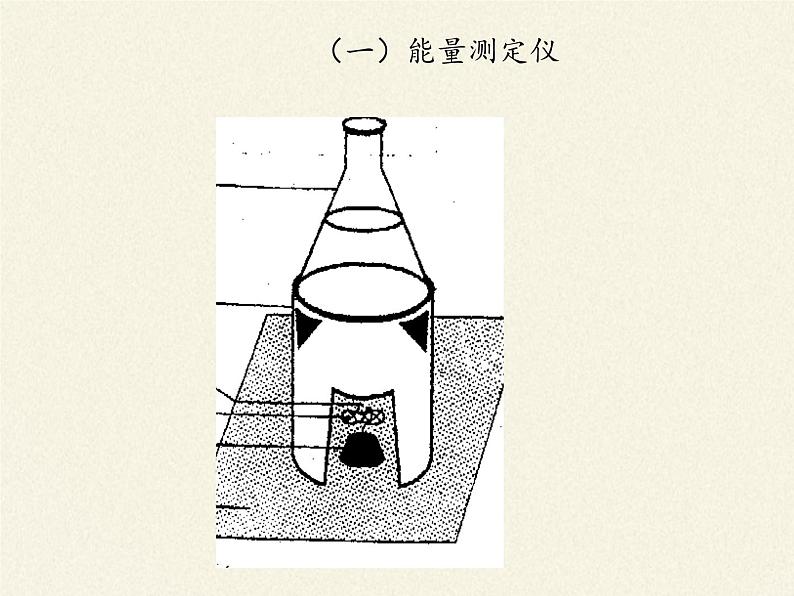 北师大版生物七年级下册 第10章 第1节 食物中能量的释放(8)(课件)第5页