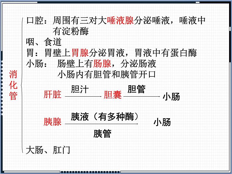 第8章 第2节 食物的消化和营养物质的吸收 课件第3页
