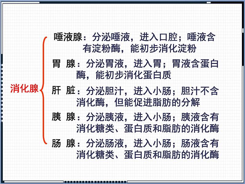 第8章 第2节 食物的消化和营养物质的吸收 课件第4页