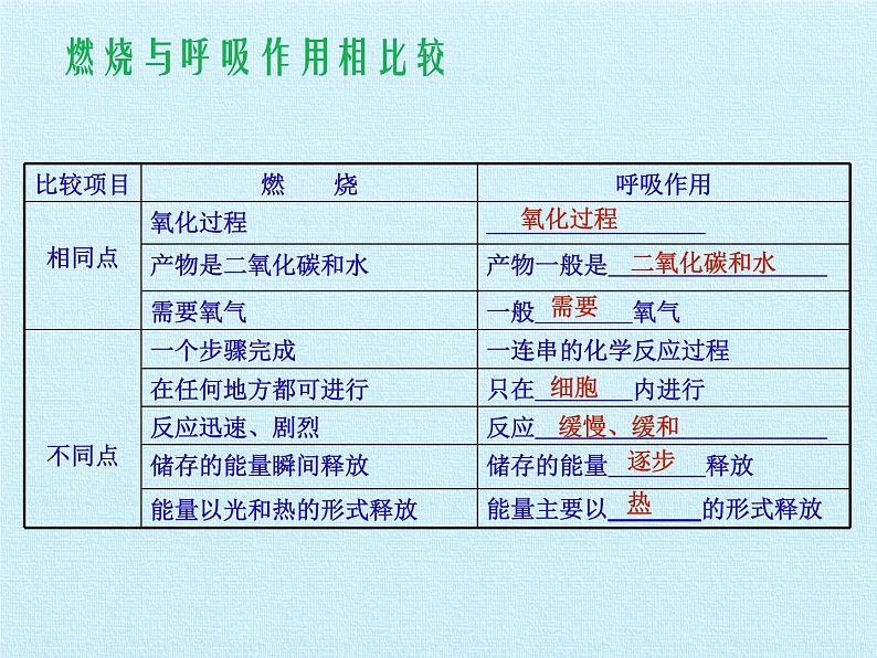 北师大版生物七年级下册 第四单元第十章 人体的能量供应 复习(课件)06