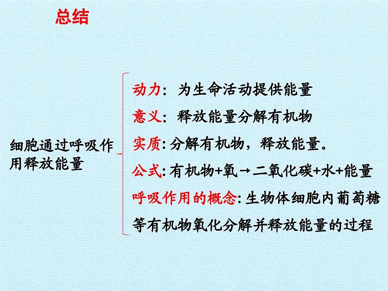 北师大版生物七年级下册 第四单元第十章 人体的能量供应 复习(课件)07