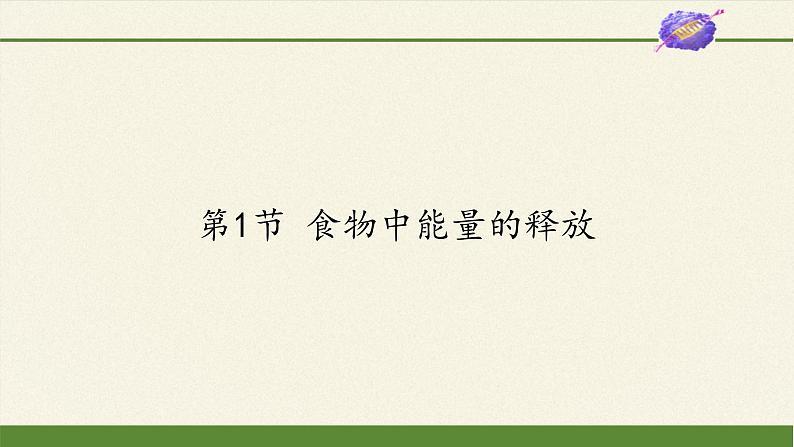 北师大版生物七年级下册 第10章 第1节 食物中能量的释放(7)(课件)第1页