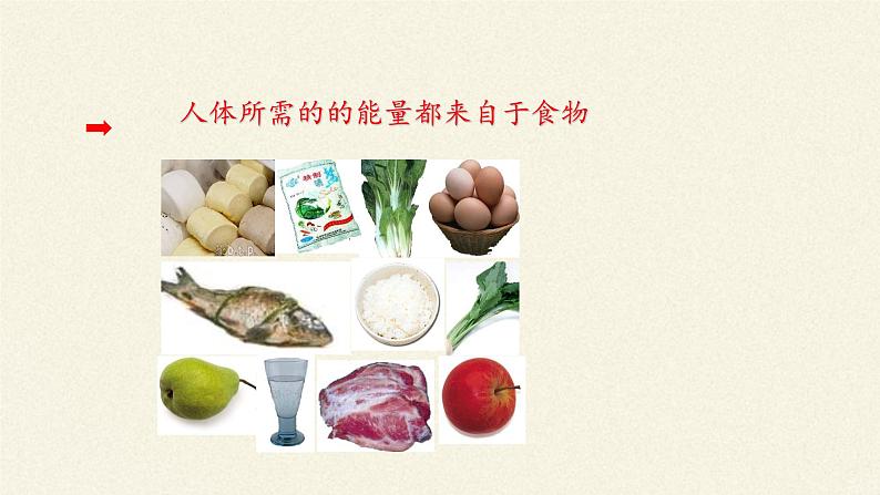 北师大版生物七年级下册 第10章 第1节 食物中能量的释放(7)(课件)第8页