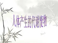 北师大版生物七年级下册 人体产生的代谢废物(1)（课件）