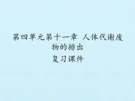 北师大版生物七年级下册 第四单元第十一章 人体代谢废物的排出 复习（课件）