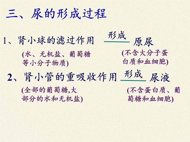 北师大版生物七年级下册 第11章 第2节 尿的形成与排出(5)(课件)第3页