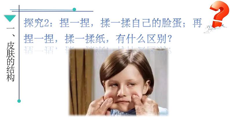 第11章 第3节 皮肤与汗液分泌(1)课件第8页