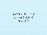 北师大版生物七年级下册 第四单元第十二章 人体的自我调节 复习（课件）