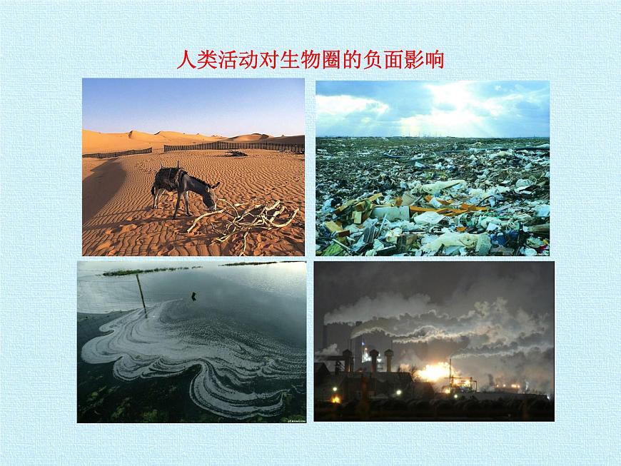 北師大版生物七年級(jí)下冊(cè) 第四單元第十四章 人在生物圈中的義務(wù) 復(fù)習(xí)（課件）第2頁(yè)