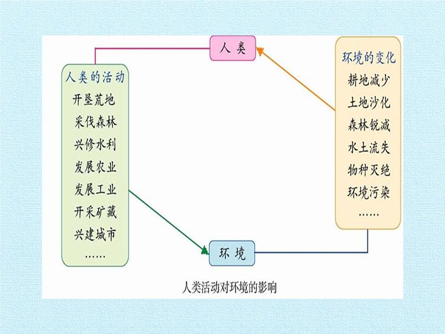 北師大版生物七年級(jí)下冊(cè) 第四單元第十四章 人在生物圈中的義務(wù) 復(fù)習(xí)（課件）第6頁(yè)
