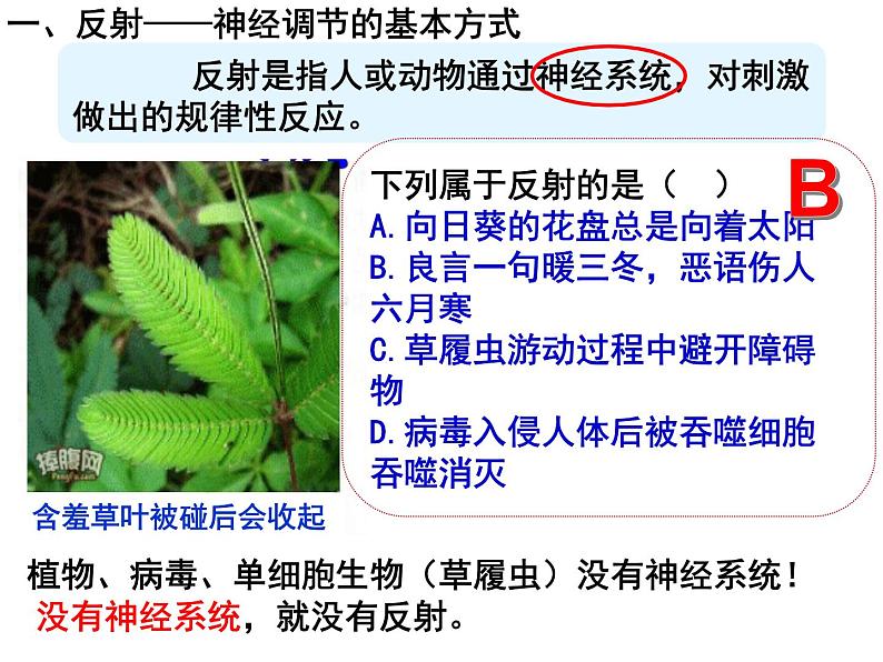 12.1.2+神经系统与神经调节--第2课时+反射与反射弧课件2023--2024学年北师大版生物七年级下册第2页