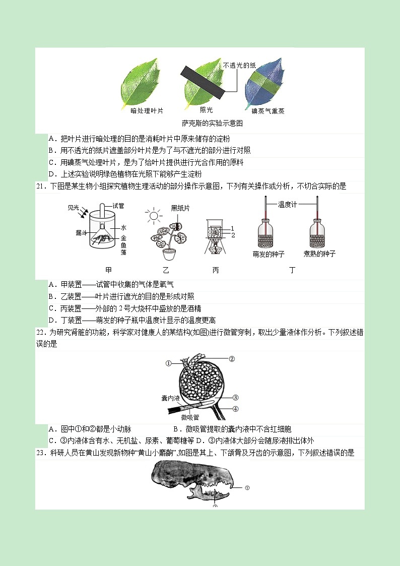 2024年中考第一次模擬考試題:生物(福建卷)(學(xué)生用)第3頁(yè)