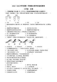 广东省肇庆地区2022-2023学年七年级上学期期末生物试题