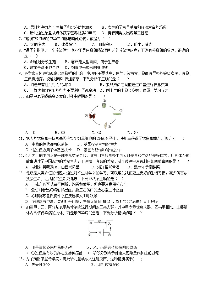 2024年中考第一次模拟考试题:生物(广西卷)(学生用)02
