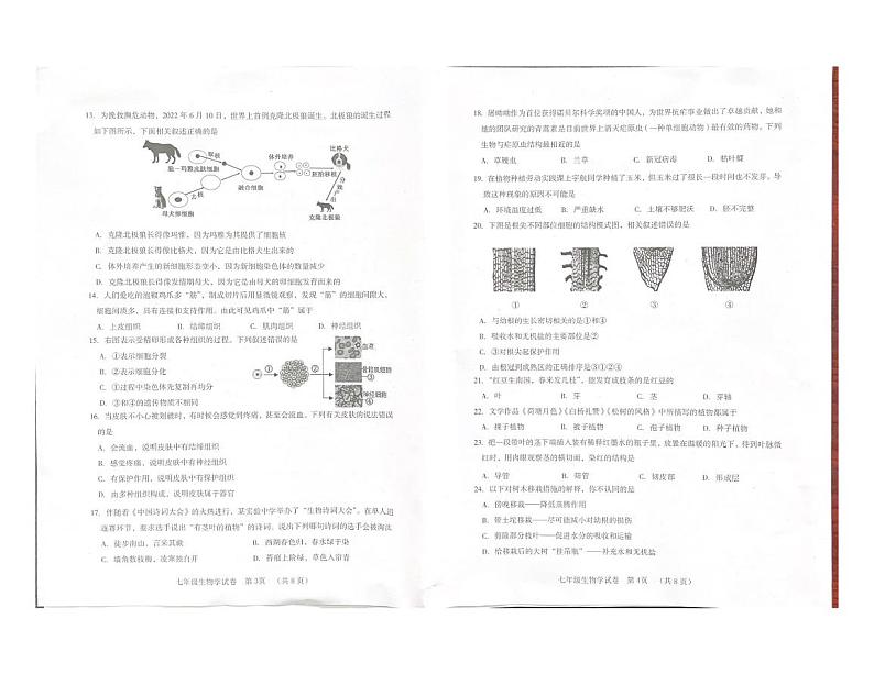 四川省自贡市2023-2024学年七年级上学期期末考试生物学试题02