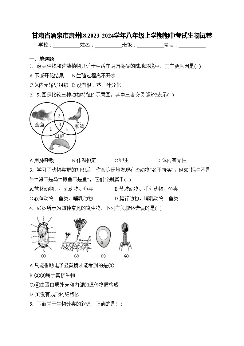 甘肃省酒泉市肃州区2023-2024学年八年级上学期期中考试生物试卷(含答案)01