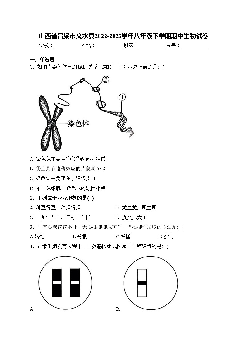山西省吕梁市文水县2022-2023学年八年级下学期期中生物试卷(含答案)第1页