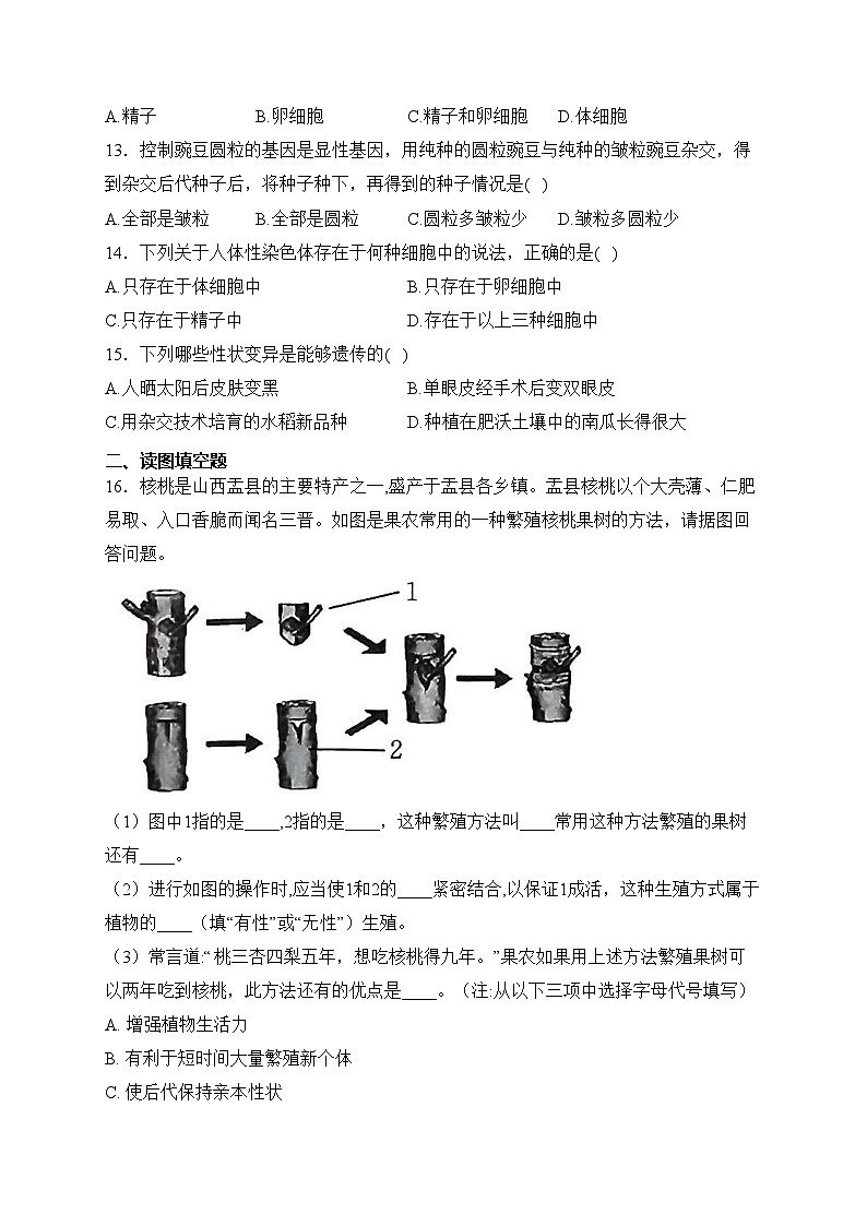 山西省吕梁市文水县2022-2023学年八年级下学期期中生物试卷(含答案)第3页
