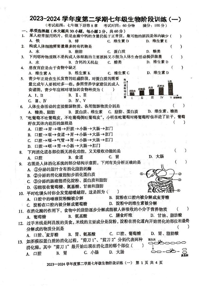 广东省廉江市良垌镇第三初级中学2023-2024学年七年级下学期3月月考生物试题01