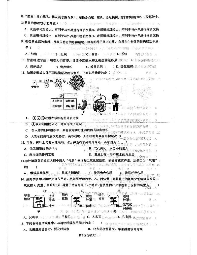 四川省成都市高新技术产业开发区2023-2024学年七年级上学期期末生物学试题02