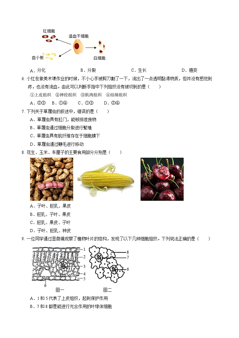 生物(江西卷)-2024年会考第一次模拟考试02