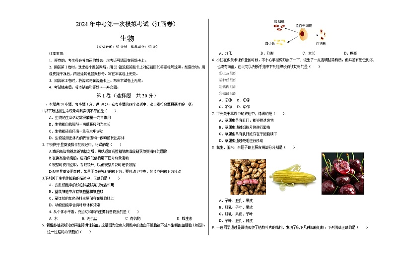 2024年中考第一次模拟考试题:生物(江西卷)(考试版A3)01