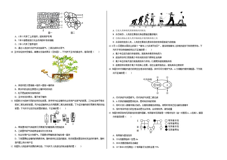 2024年中考第一次模拟考试题:生物(江西卷)(考试版A3)02