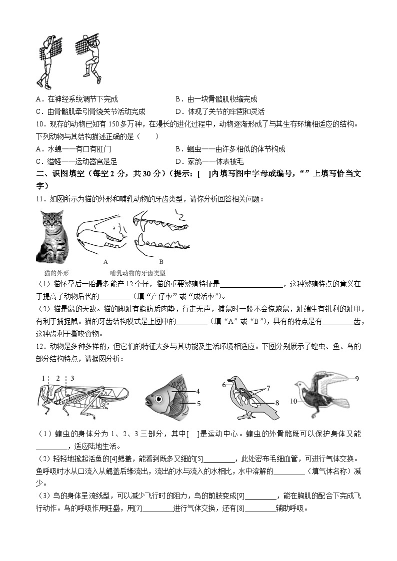 安徽省安庆市外国语学校2023-2024学年八年级上学期期中生物试题第2页