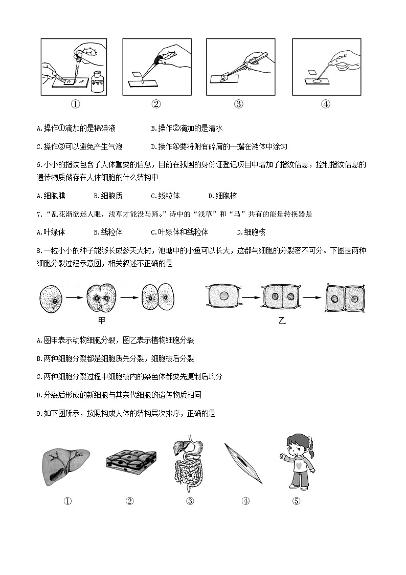 河南省信阳市息县2023-2024学年七年级上学期期末学业质量监测生物试题第2页