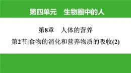 【新课标】北师大版生物七下8.2《食物的消化和营养物质的吸收(2)》课件