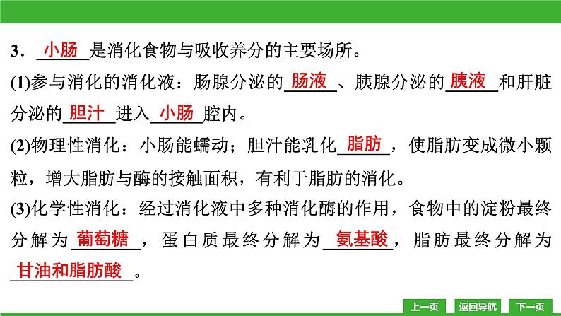 【新课标】北师大版生物七下8.2《食物的消化和营养物质的吸收(2)》课件第6页