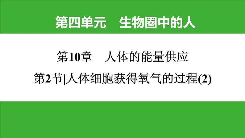 【新课标】北师大版生物七下10.2《人体细胞获得氧气的过程(2)》课件第1页