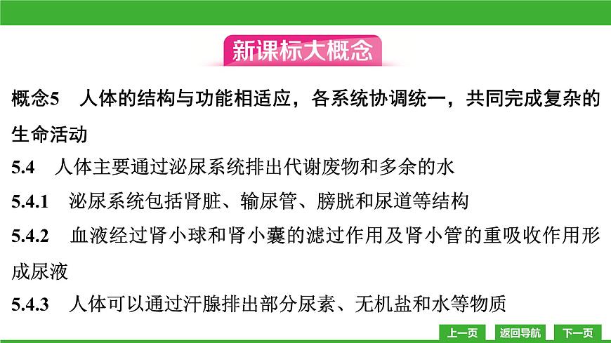 【新課標(biāo)】北師大版生物七下11.1《人體產(chǎn)生的代謝廢物》課件第3頁(yè)