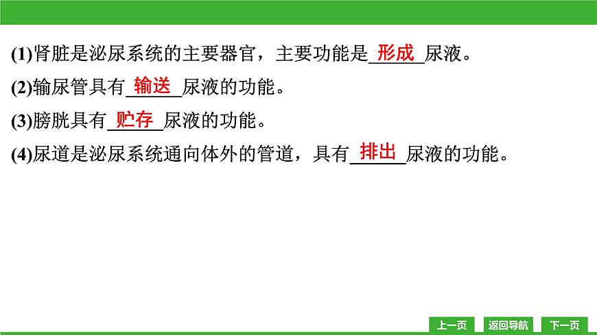 【新課標(biāo)】北師大版生物七下11.2《尿的形成與排出》課件第5頁