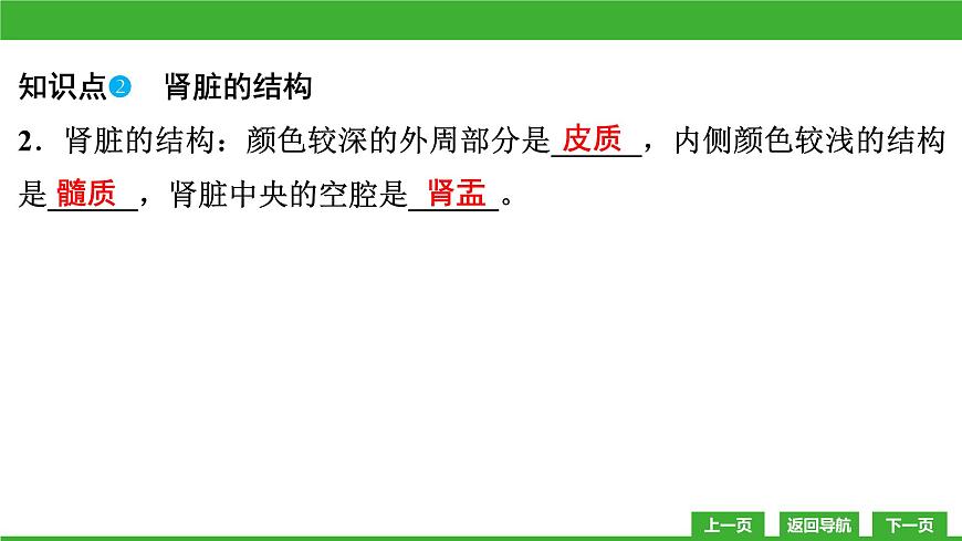 【新課標(biāo)】北師大版生物七下11.2《尿的形成與排出》課件第6頁