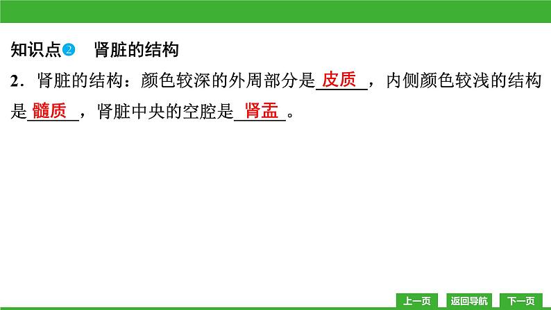 【新课标】北师大版生物七下11.2《尿的形成与排出》课件06