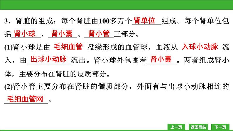 【新课标】北师大版生物七下11.2《尿的形成与排出》课件07