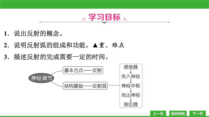 【新課標(biāo)】北師大版生物七下12.1《神經(jīng)系統(tǒng)與神經(jīng)調(diào)節(jié)(2)》課件第3頁(yè)