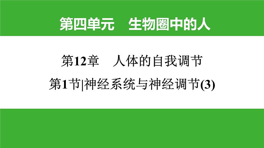 【新課標(biāo)】北師大版生物七下12.1《神經(jīng)系統(tǒng)與神經(jīng)調(diào)節(jié)(3)》課件第1頁(yè)