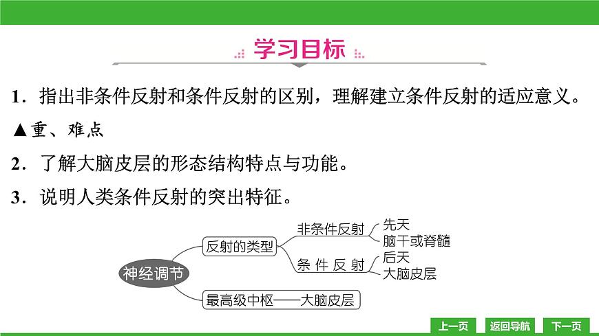 【新課標(biāo)】北師大版生物七下12.1《神經(jīng)系統(tǒng)與神經(jīng)調(diào)節(jié)(3)》課件第3頁(yè)