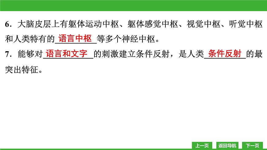 【新課標(biāo)】北師大版生物七下12.1《神經(jīng)系統(tǒng)與神經(jīng)調(diào)節(jié)(3)》課件第8頁(yè)