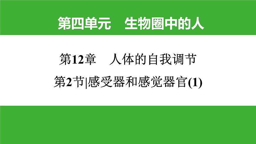 【新課標(biāo)】北師大版生物七下12.2《感受器和感覺器官(1)》課件第1頁