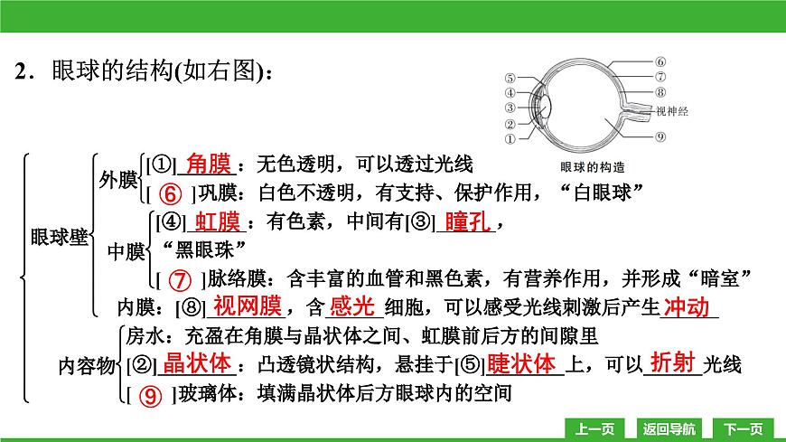 【新課標(biāo)】北師大版生物七下12.2《感受器和感覺器官(1)》課件第6頁