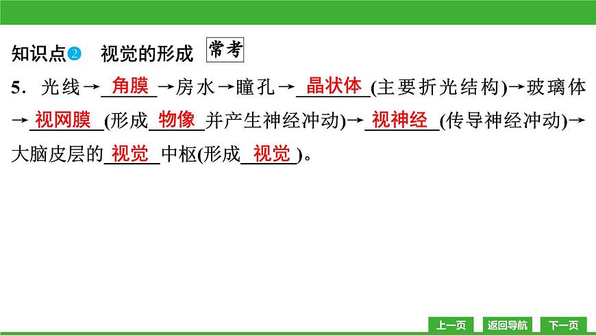 【新課標(biāo)】北師大版生物七下12.2《感受器和感覺器官(1)》課件第8頁