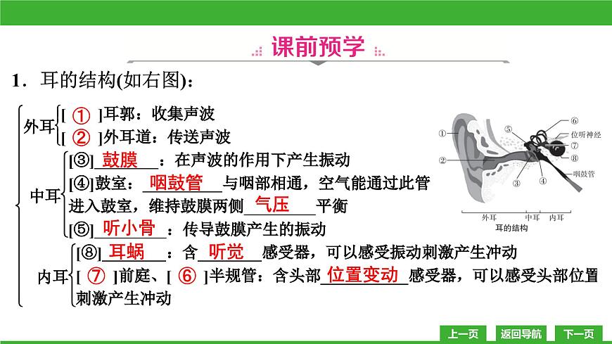 【新課標(biāo)】北師大版生物七下12.2《感受器和感覺器官(2)》課件第5頁