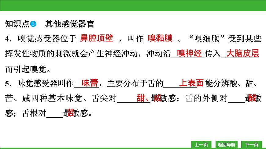 【新課標(biāo)】北師大版生物七下12.2《感受器和感覺器官(2)》課件第7頁