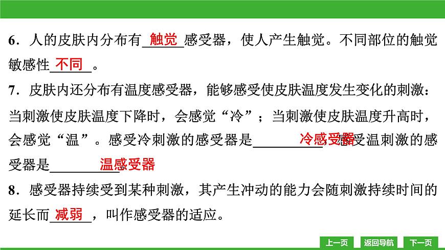【新課標(biāo)】北師大版生物七下12.2《感受器和感覺器官(2)》課件第8頁