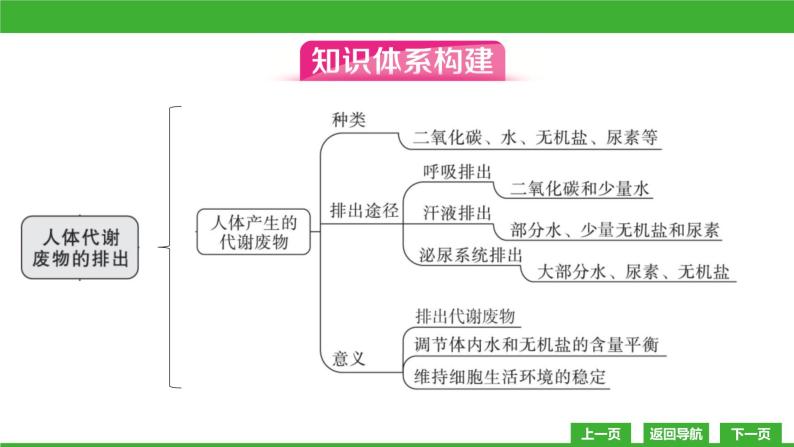 【新课标】北师大版生物七下  第11章章末复习（课件）03