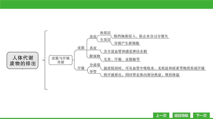【新課標(biāo)】北師大版生物七下  第11章章末復(fù)習(xí)（課件）第5頁